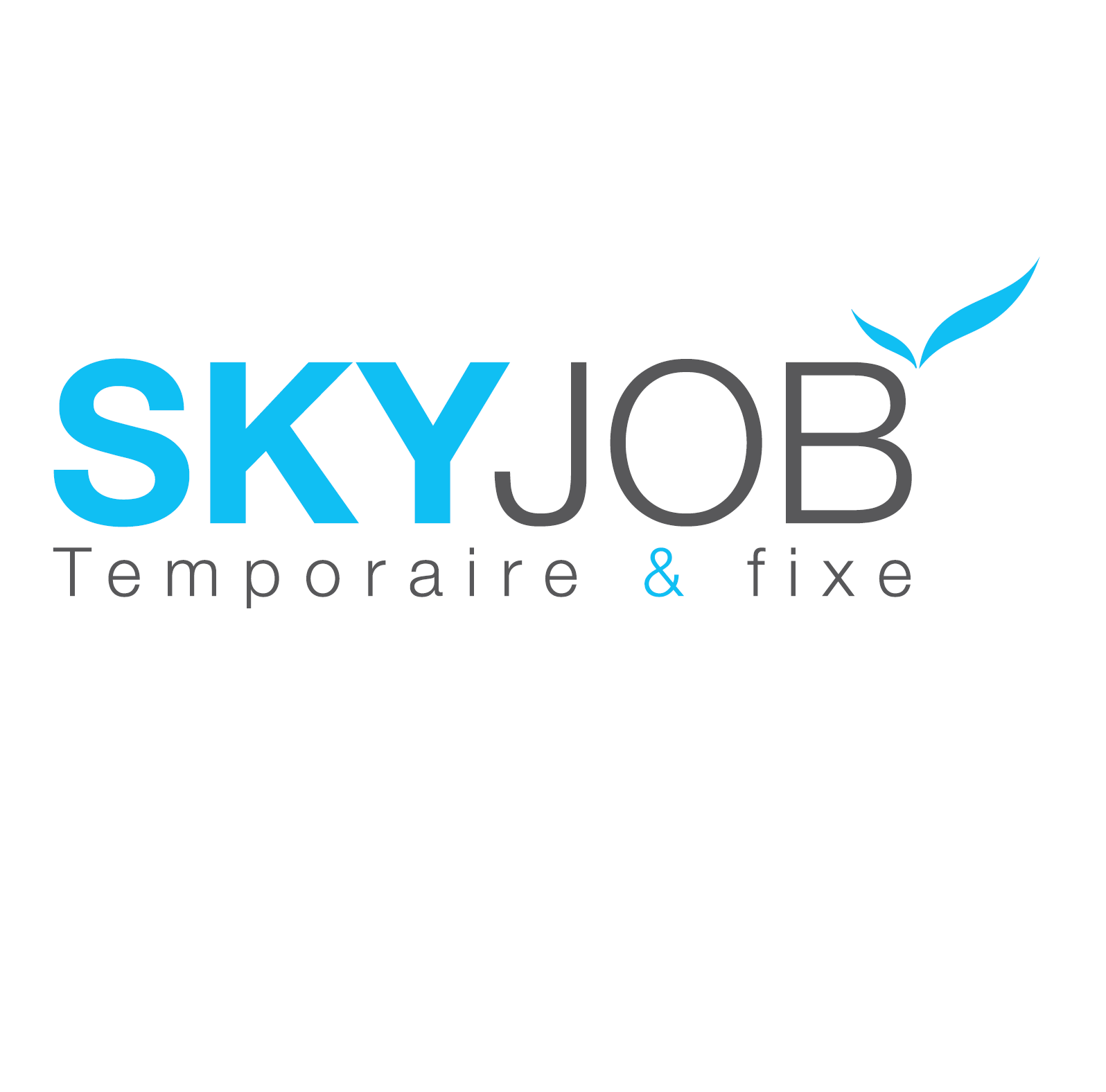 sky jobs